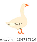 Goose. Domestic animal. Poultry farming concept. Harmony with nature vibe. Cottagecore and rustic farm countryside aesthetic. Isolated vector illustration	 136737316