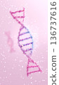 3D illustration of DNA double helix formed by bubble-like aggregates. Pink background, concept of exosomes and beauty ingredients. 136737616