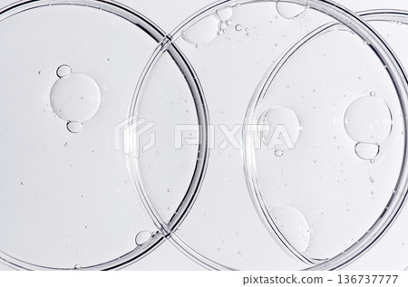 Liquid cosmetic product for the skin in a Petri dish. Liquid cosmetic product for the skin in a Petri dish. 136737777