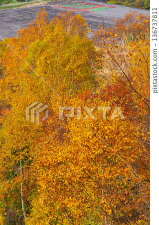 Autumn in Yonezawa, Yamagata Prefecture - Autumn leaves at Tengendai Plateau Autumn in Yonezawa, Yamagata Prefecture - Autumn leaves at Tengendai Plateau 136737811