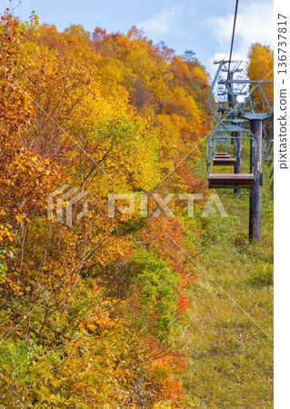 Autumn in Yonezawa, Yamagata Prefecture - Autumn leaves at Tengendai Plateau 136737817