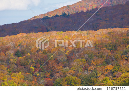 山形縣米澤的秋天-天元台高原的紅葉 山形縣米澤的秋天-天元台高原的紅葉 136737831