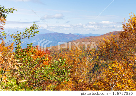 Autumn in Yonezawa, Yamagata Prefecture - Autumn leaves at Tengendai Plateau 136737880