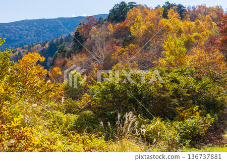 Autumn in Yonezawa, Yamagata Prefecture - Autumn leaves at Tengendai Plateau 136737881