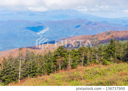 Autumn in Yonezawa, Yamagata Prefecture - Autumn leaves at Tengendai Plateau Autumn in Yonezawa, Yamagata Prefecture - Autumn leaves at Tengendai Plateau 136737900