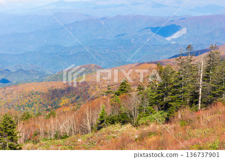 山形縣米澤的秋天-天元台高原的紅葉 山形縣米澤的秋天-天元台高原的紅葉 136737901