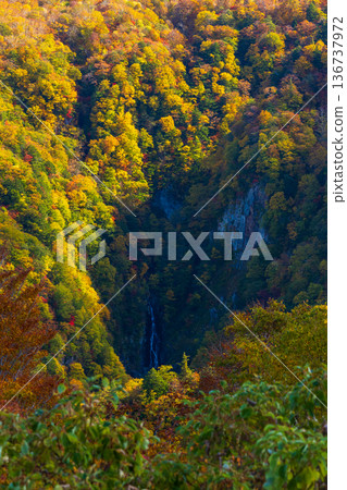 Autumn in Yonezawa, Yamagata Prefecture - Tengendai Plateau with autumn leaves - Flame Falls Autumn in Yonezawa, Yamagata Prefecture - Tengendai Plateau with autumn leaves - Flame Falls 136737972