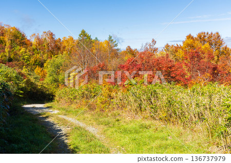 山形縣米澤的秋天－天元台高原的紅葉 136737979