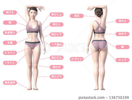 Hair removal treatment area and Japanese woman 3D model illustration, whole body back view 136738199
