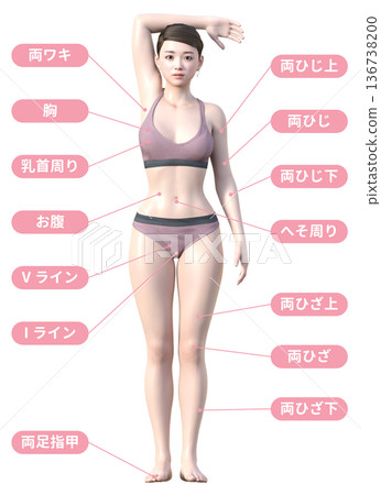 Hair removal treatment area and Japanese woman 3D model illustration, whole body front 136738200