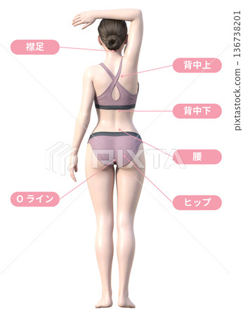 Hair removal treatment area and Japanese woman 3D model illustration, full body front and back view 136738201
