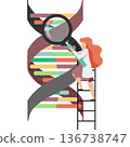 Woman doctor studying dna molecule vector icon isolated on white 136738747
