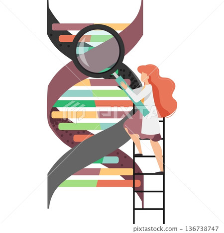 Woman doctor studying dna molecule vector icon isolated on white Woman doctor studying dna molecule vector icon isolated on white 136738747