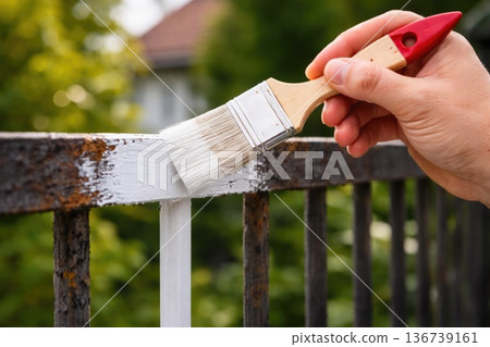 Hand painting metal fence with white paint brush outdoor home improvement renovation concept 136739161