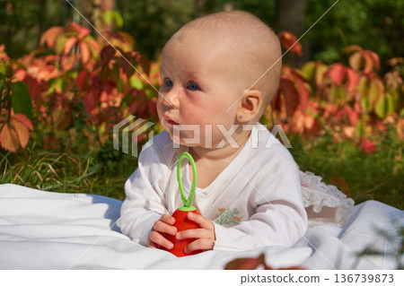 Cute baby crawling on blanket on warm sunny day in park 136739873