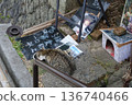Onomichi cat 136740466