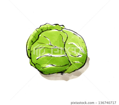 cabbage cabbage 136740717