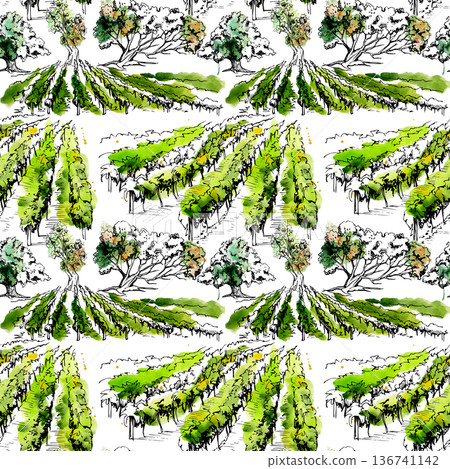 Mediterranean vineyard landscape, rolling countryside hills and vines, Tuscany trees. Seamless pattern hand painted in watercolor, ink outlines. Wrapping paper, wallpaper, boutique product branding. Mediterranean vineyard landscape, rolling countryside hills and vines, Tuscany trees. Seamless pattern hand painted in watercolor, ink outlines. Wrapping paper, wallpaper, boutique product branding. 136741142
