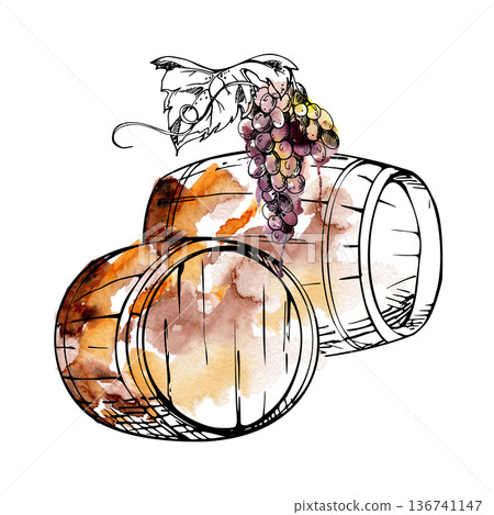 Rustic wooden wine barrels, hanging grape clusters, distillery cellar storage. Isolated illustration hand drawn in watercolor and ink for winery promotion, tavern or restaurant menu, tourism materials Rustic wooden wine barrels, hanging grape clusters, distillery cellar storage. Isolated illustration hand drawn in watercolor and ink for winery promotion, tavern or restaurant menu, tourism materials 136741147