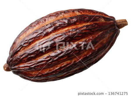 Whole Cocoa Pod 136741275