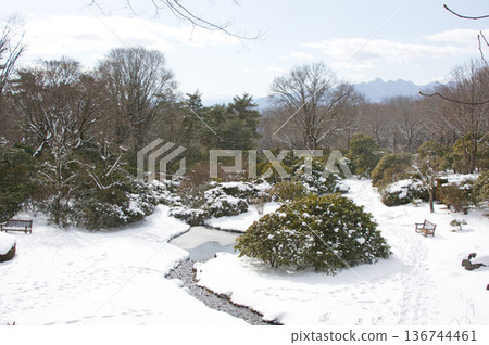 Akagi Nature Park (Saison Garden) in winter 136744461