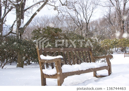 Akagi Nature Park in winter (bench) 136744463