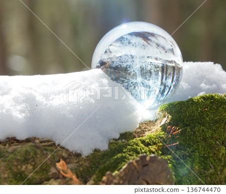 Eco image - Winter landscape and glass tree 136744470