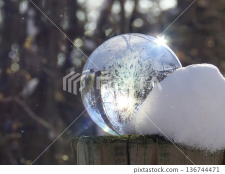 Eco Image - Winter Scenery and Glass Tree 2 Eco Image - Winter Scenery and Glass Tree 2 136744471