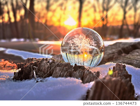 Eco Image - Evening winter scenery and glass tree 2 Eco Image - Evening winter scenery and glass tree 2 136744473
