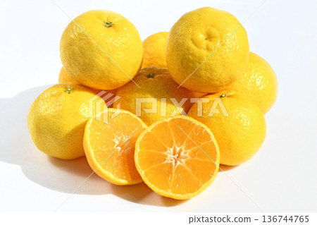 Citrus fruit (Hime Koharu) 136744765
