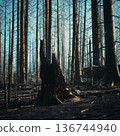 charred stump emitting faint ember glow from hollow core, surrounding trunks rise like silhouettes against cold light, eerie atmosphere captured 136744940