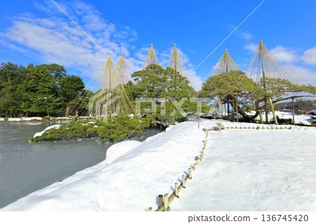 【石川縣】銀白兼六園(雪掛唐松) 【石川縣】銀白兼六園(雪掛唐松) 136745420