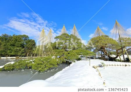 【石川縣】銀白兼六園（雪掛唐松） 136745423