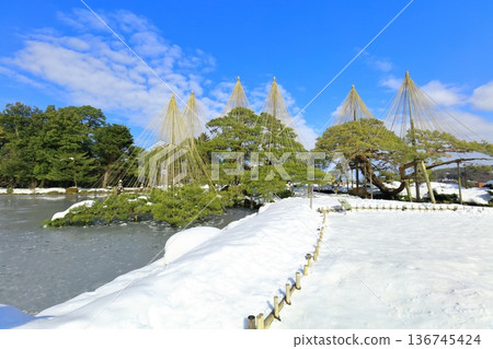 [Ishikawa Prefecture] The Silver-White Kenrokuen Garden (Snow-hanging Karasaki Pine) 136745424