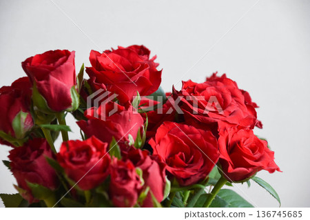 紅玫瑰 136745685