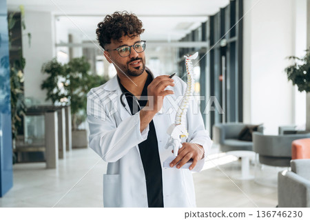 Model of human spine in hand. Doctor is indoors in the modern building Model of human spine in hand. Doctor is indoors in the modern building 136746230