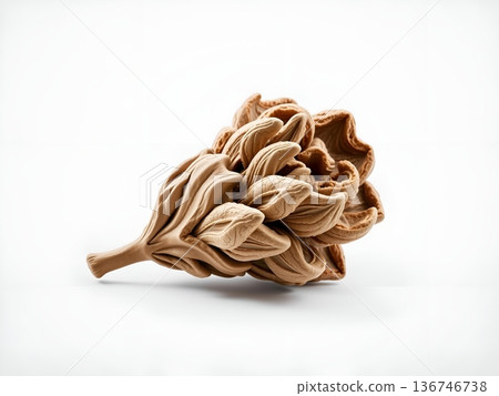 Sculptural Botanical Form: A Delicate Dried Flower Impression Sculptural Botanical Form: A Delicate Dried Flower Impression 136746738