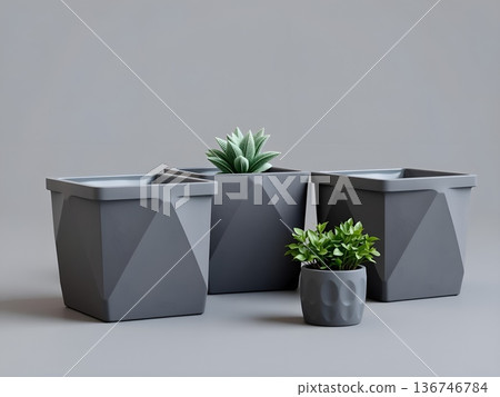 Modern gray planters with succulents, minimalist indoor gardening display 136746784