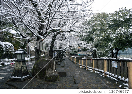 東京北區音無水上樂園的雪景 136746977