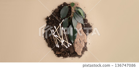 Used cotton swabs placed in soil, tree bark, and green leaves beige background, top view. Concept of plastic pollution, compostable materials, zero-waste lifestyle, and environmental responsibility 136747086