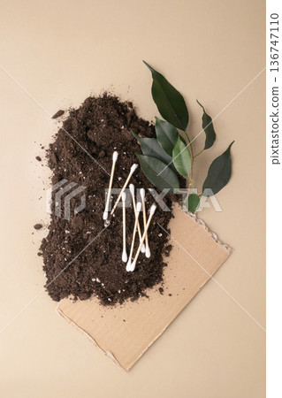 Biodegradable cotton swabs, cardboard, and a green plant symbolize environmental degradation and sustainable living, on a beige background. Green lifestyle, environmental awareness Biodegradable cotton swabs, cardboard, and a green plant symbolize environmental degradation and sustainable living, on a beige background. Green lifestyle, environmental awareness 136747110