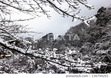 [Niigata Prefecture_Sado Gold Mine] Snow Road Tour Warito February 136748201