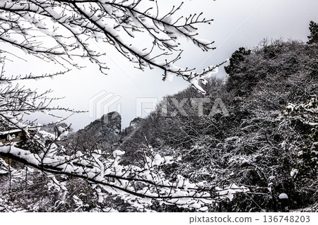 [Niigata Prefecture_Sado Gold Mine] Snow Road Tour Warito February 136748203