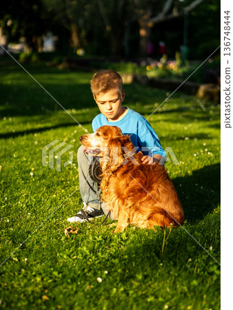 Cute boy in a blue T-shirt walks on a leash with his spaniel dog in a city park 136748444