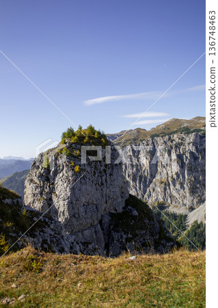 View of a small rock in the mountains with fir trees on its top 136748463