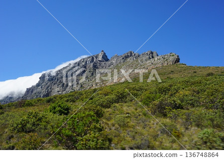 開普敦的桌山 136748864