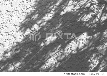 Shadows of leaves reflected on a white wall, silhouettes of leaves 136749138