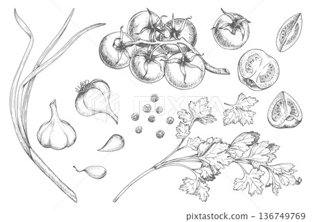 Set of vegetebales in the graphic. Ink hand drawn objects of garlic, tomatoes, green onion, black pepper and parsley. Vector elements. 136749769