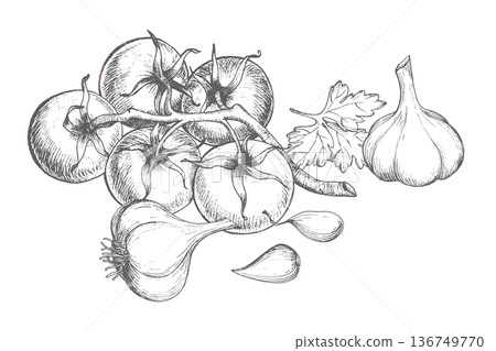 Composition of the tomatoes, garlic and parsley in ink. Vector ink styled handmade illustration. For packaging design, cards, cover, prints, product labels and fabric. 136749770