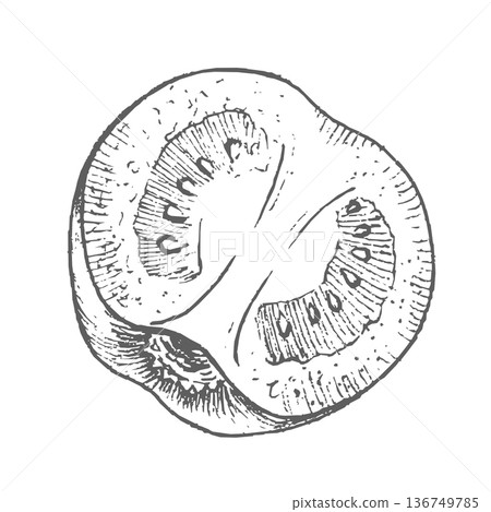 Half a tomato. Vector ink styled handmade illustration. For packaging design, cards, cover, prints, product labels and fabric. Half a tomato. Vector ink styled handmade illustration. For packaging design, cards, cover, prints, product labels and fabric. 136749785